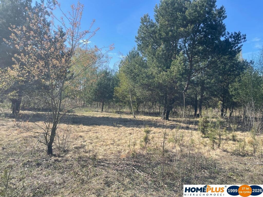 Idealne miejsce na dom,6241 m² blisko lasu i rzeki - Widok 4