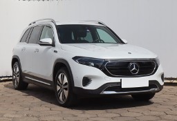 Mercedes-Benz Inny