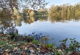 Działka inna Cenon-Sur-Vienne