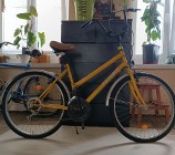 Rower damski żółty 