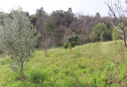 Działka inna Fundão, Castelo Branco