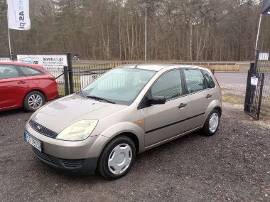 Ford Fiesta V-1