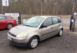 Ford Fiesta V