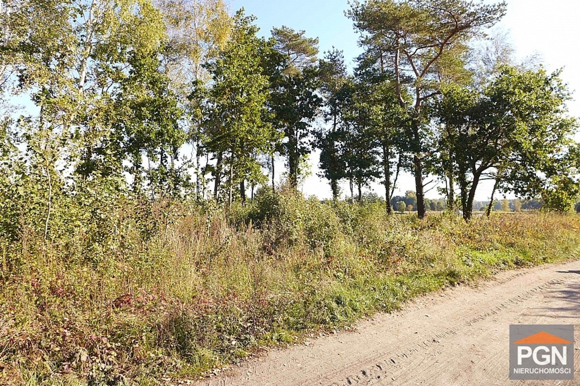 Działka Trzebieszewo gm Kamień Pomorski sprzedaż – pohled 4
