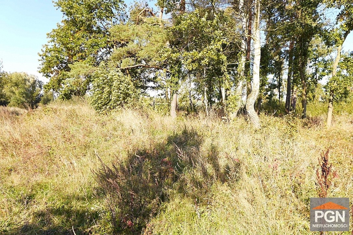 Działka Trzebieszewo gm Kamień Pomorski sprzedaż – další