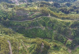 Działka inna Ilha Da Madeira, Campanário