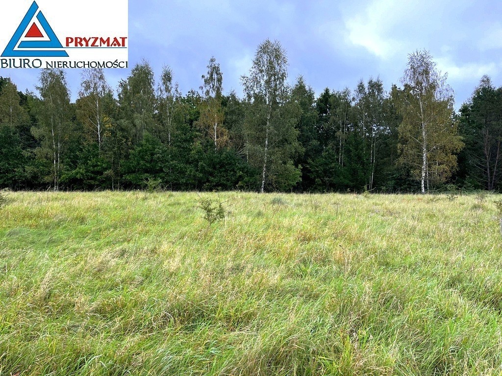 MARUNY - DZIAŁKI DO SPRZEDAŻY z warunkami zabudowy, olsztyński