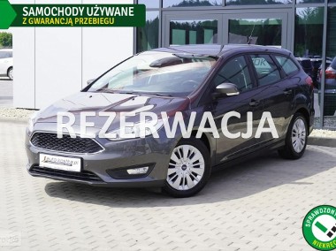 Ford Focus III Grzane fotele, Navi, Tempomat, Czujniki, Klima, LED, GWARANCJA-1