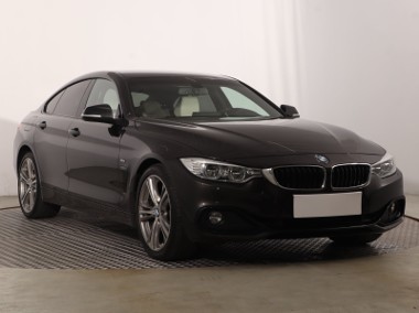 BMW Salon Polska, Serwis ASO, Automat, Skóra, Navi, Klimatronic,-1