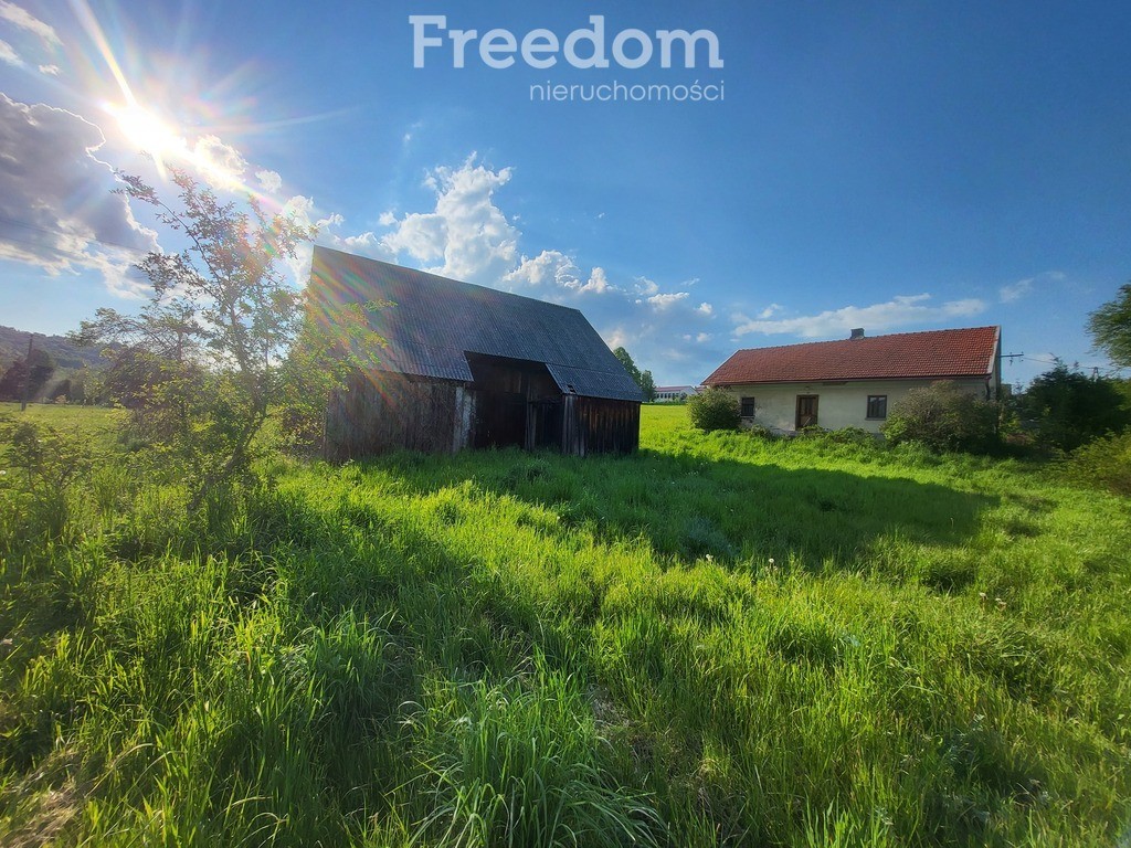 Duża działka ze starym domem i stodołą - View 2