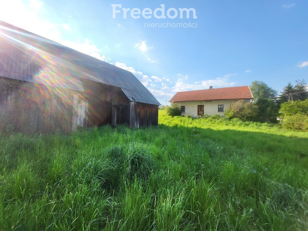 Duża działka ze starym domem i stodołą - View 3