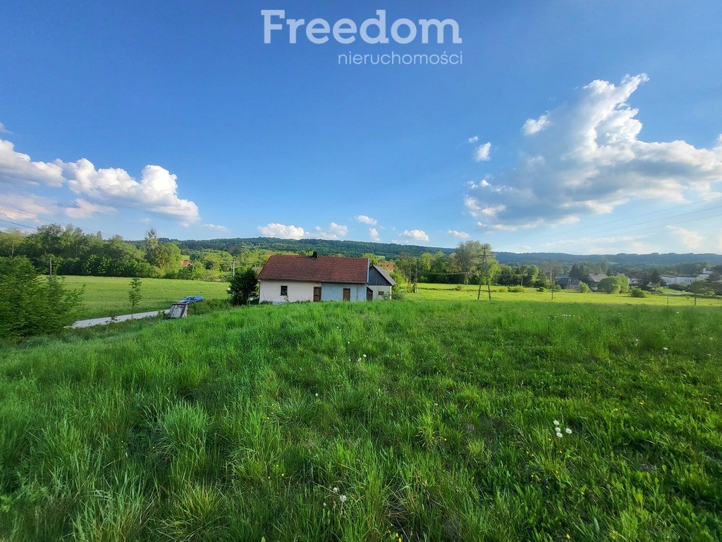 Duża działka ze starym domem i stodołą - View 4