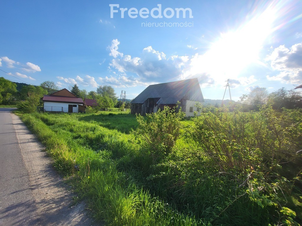 Duża działka ze starym domem i stodołą - View 5