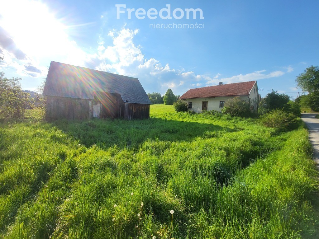Duża działka ze starym domem i stodołą - More