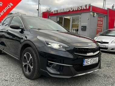 Kia Xceed Hybryda Automat Navi LED Kamera Cofania Podgrzewane Fotele Tempomat-1