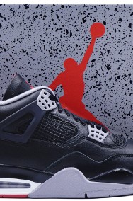 Nike AIR JORDAN 4 Bred Reimagined / FV5029–006-2