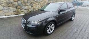 Audi A3 II (8P) A3. Niezniszczalny silnik 1.9 TDI. Zadbany.