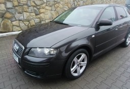 Audi A3 II (8P) A3. Niezniszczalny silnik 1.9 TDI. Zadbany.