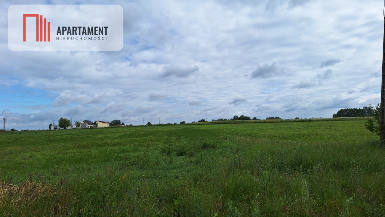 Działka inwestycyjna 6248 m² - Widok 5
