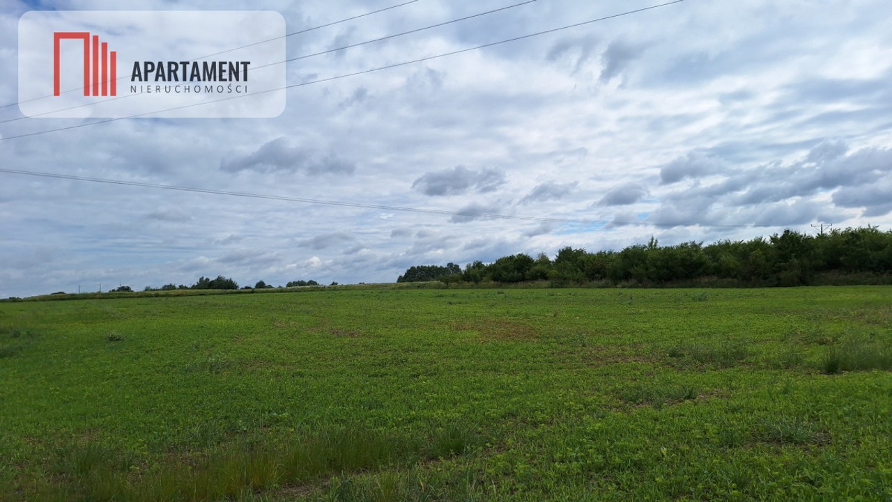 Działka inwestycyjna 6248 m² - Widok 6