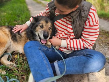 Weź nie pytaj, weź się przytul - misiek Nanuk poleca się do adopcji-1