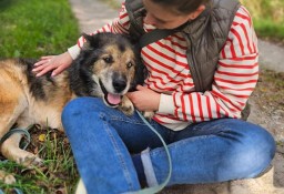 Weź nie pytaj, weź się przytul - misiek Nanuk poleca się do adopcji