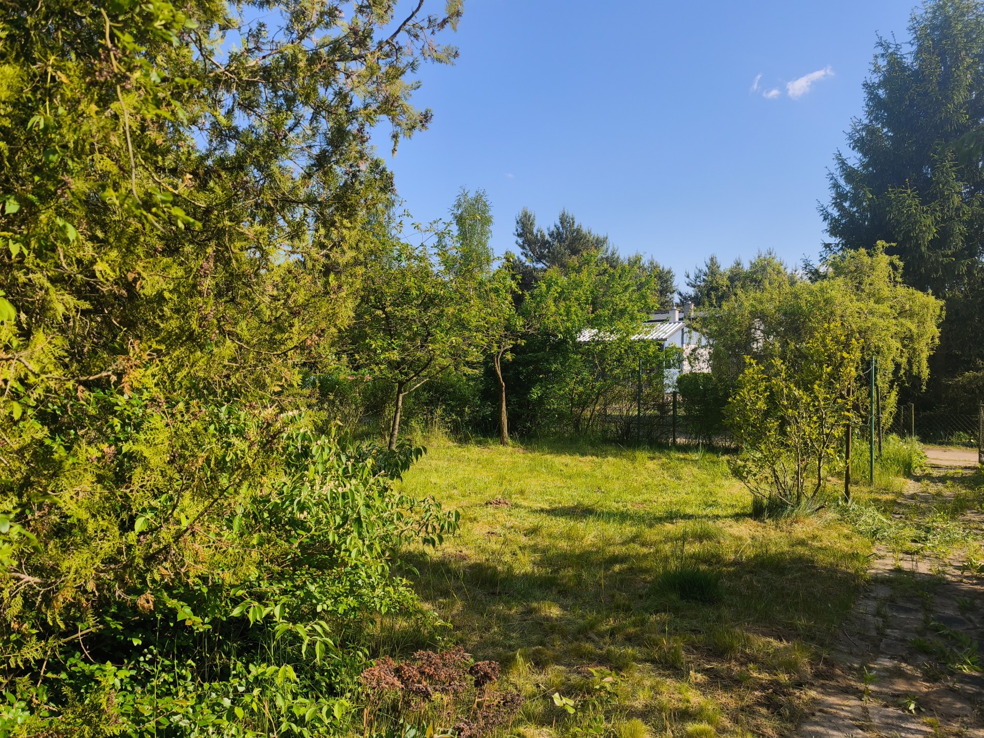 Sprzedaż działki - Widok 6