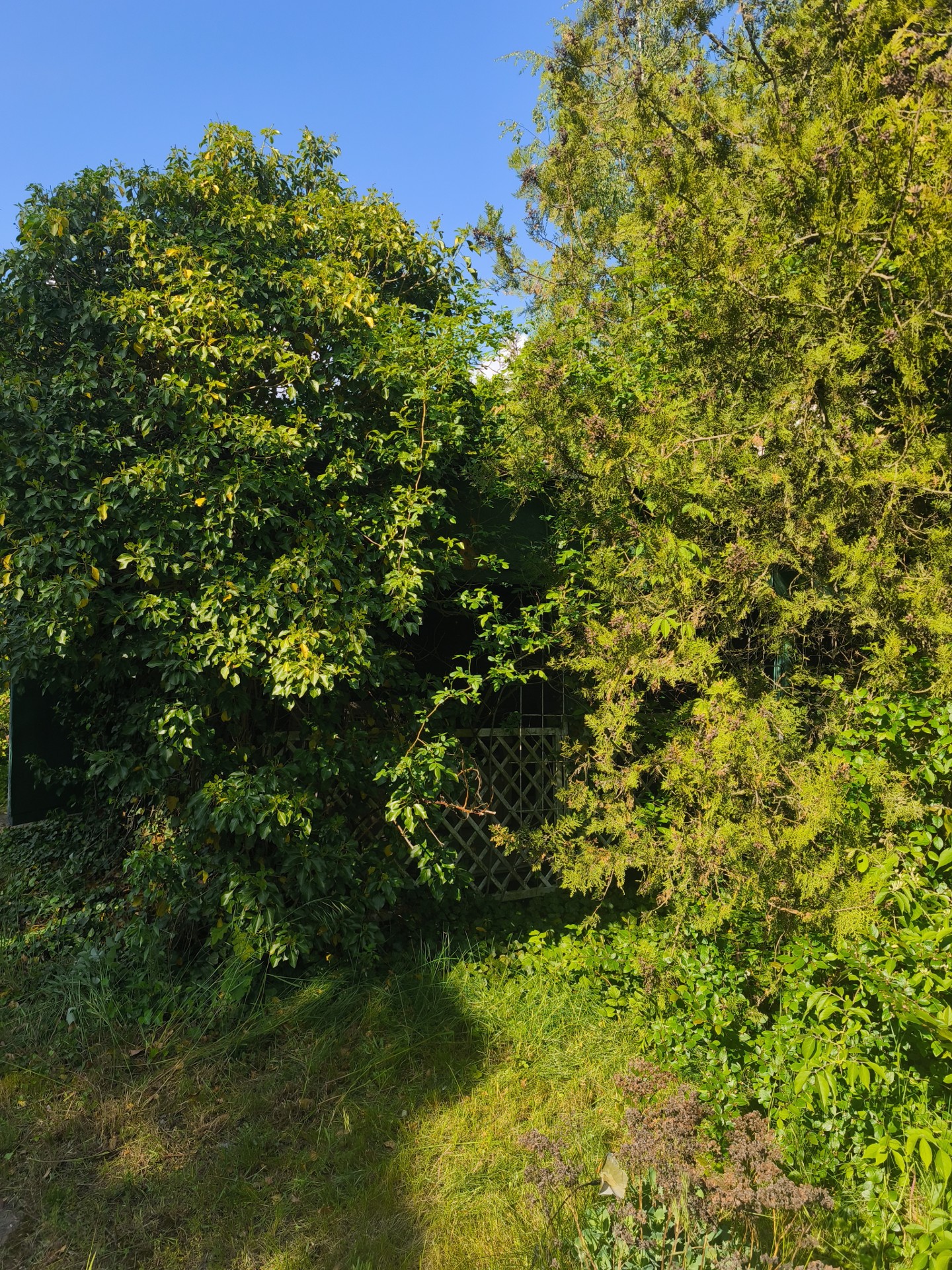 Sprzedaż działki - Widok 5
