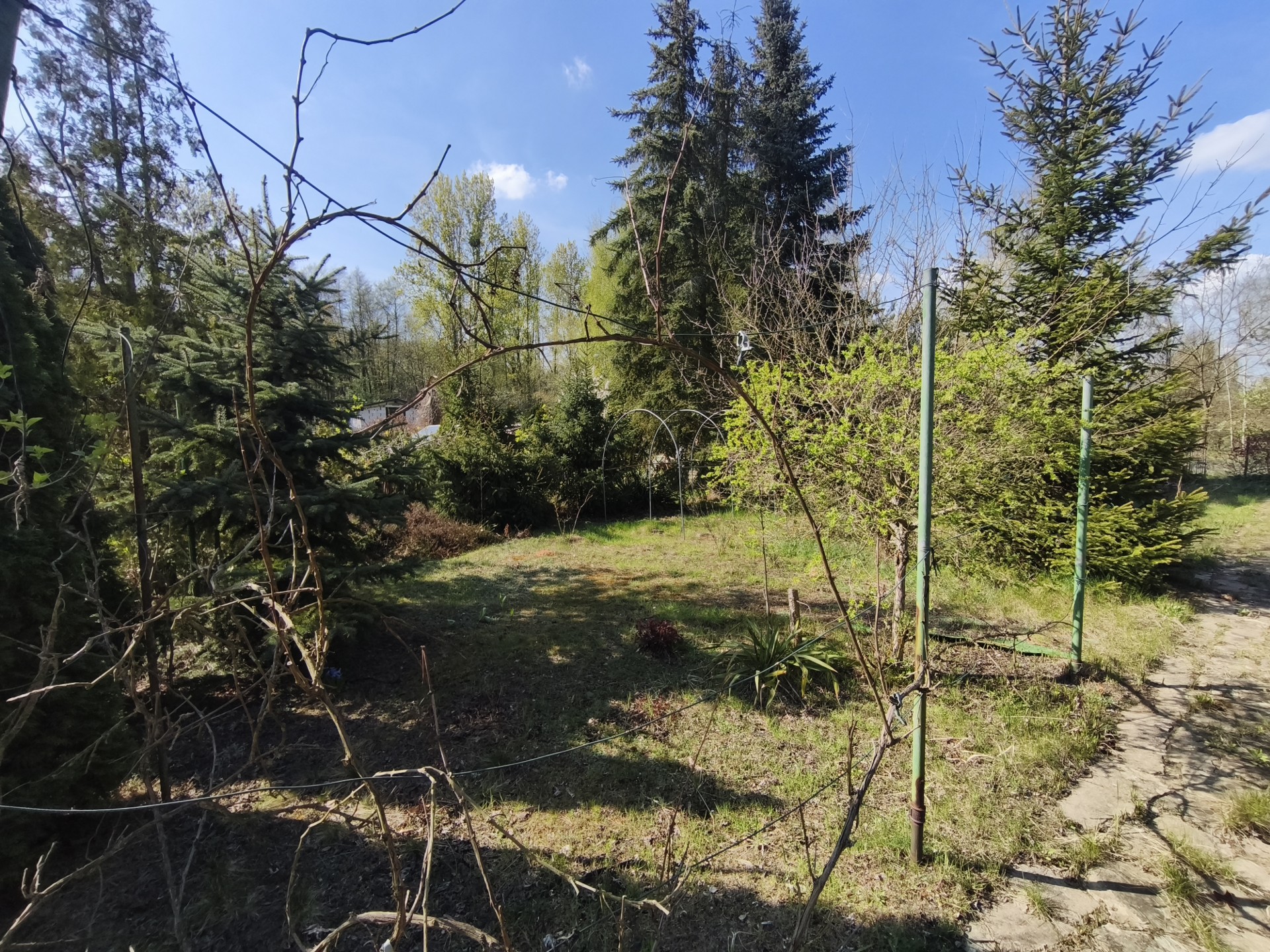 Sprzedaż działki - Więcej