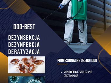 DDD Deratyzacja Dezynsekcja Odpluskwianie Likwidacja SzkodnikówHACCP-1