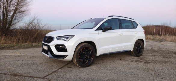 VZ 2.0 TSI 408KM | 23 tys. | 2023 | Nevada White