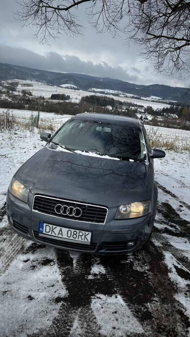 Audi A3 II (8P) Audi a3 8p 2005 2.0tdi