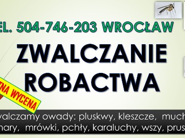 Zwalczanie robactwa cena, tel. Wrocław. Likwidacja insektów i usuwanie.-1