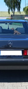 Mercedes-Benz W201-4