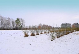 Działka budowlana Kazimierz Dolny