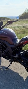 502C 2019 "Baby Diavel"-3