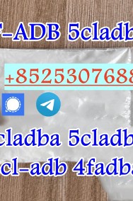 5cladbb raw materials 5cl-adb supplier 5cladba 5cladb 5F-ADBA mdma-2