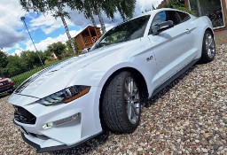 Ford Mustang VI 5.0 Benzyna , GT , Full Opcja , Zarejestrowany ,