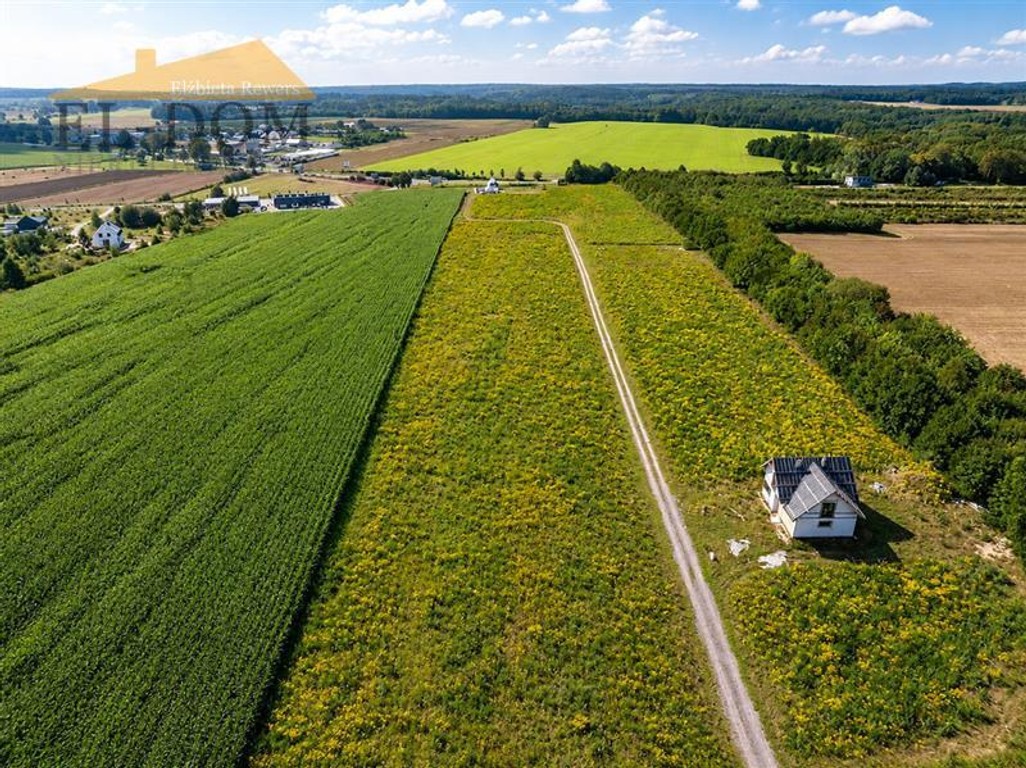 Działka budowlana - Połchowo - Widok 4
