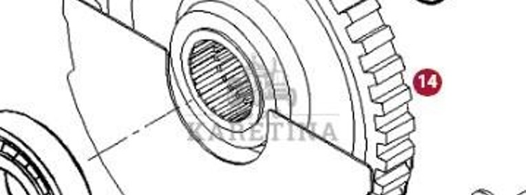 Fendt 930 933 936 939 942 Vario Gen 6 Koło Zębate Walcowate Przedniego WOM CZĘŚCI 961150200020-1