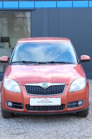 Skoda Fabia II-2