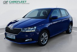 Skoda Fabia III Skoda Fabia 1.0 TSI Ambition Hatchback kr9tl87