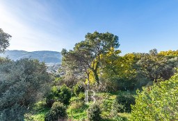 Dom La Roquette-Sur-Siagne