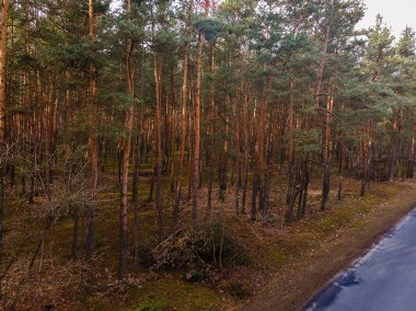 Działka budowlana w lesie - Ziewanice gmina Głowno-1