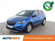 Opel Grandland X Innovation automat skóra navi kamera ACC grzane fotele BiLED