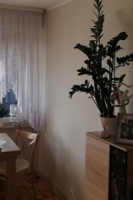 Mieszkanie, sprzedaż, 48.60, Włocławek-2