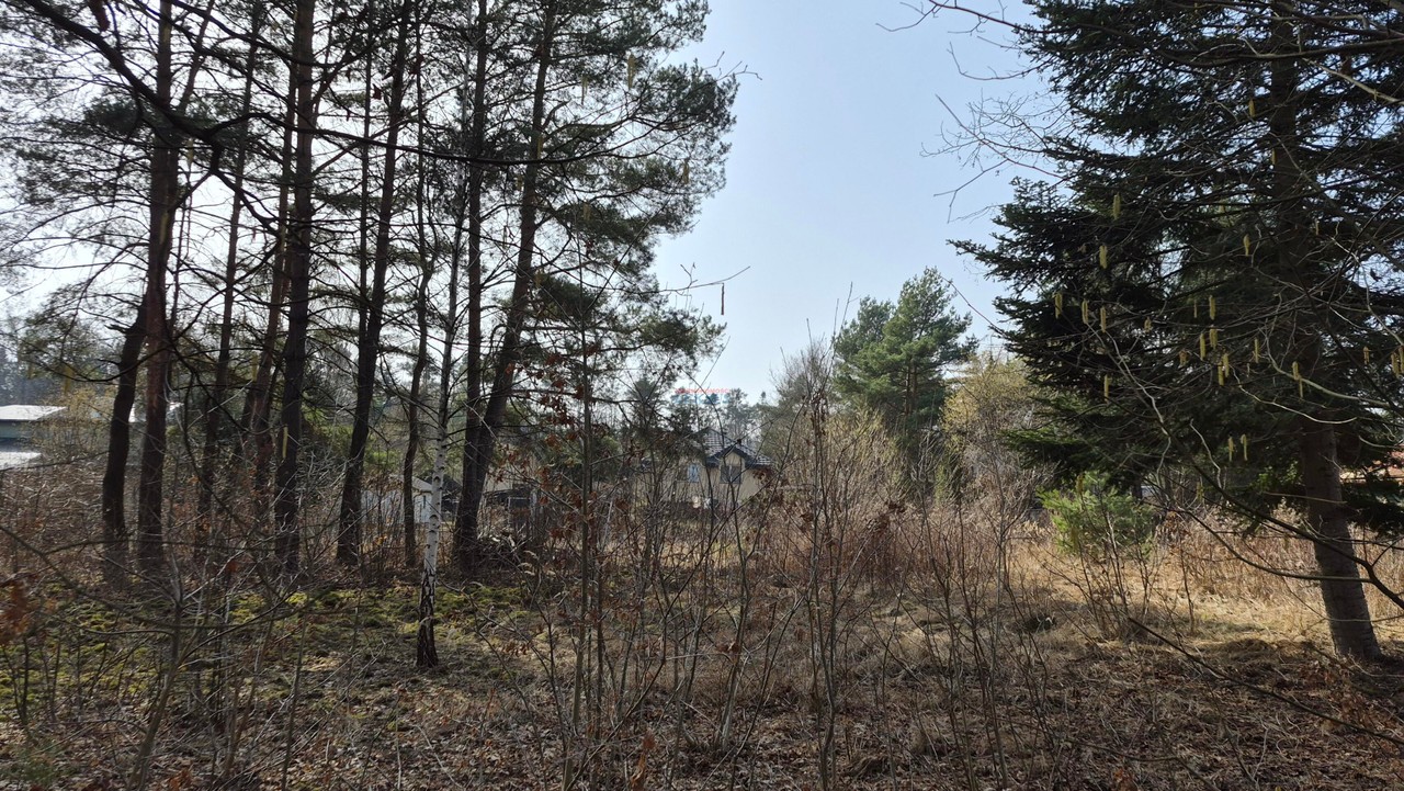 Działka na sprzedaż, 2100 m², Piaseczno Pilawa – pohled 2