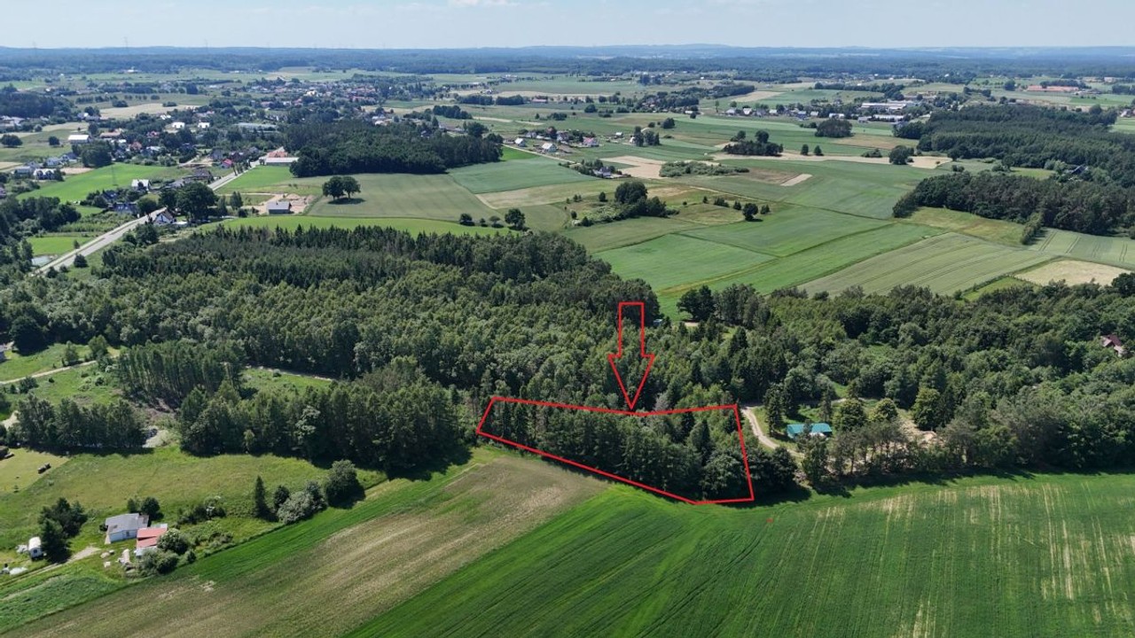 Działka budowlana przy lesie - Widok 3