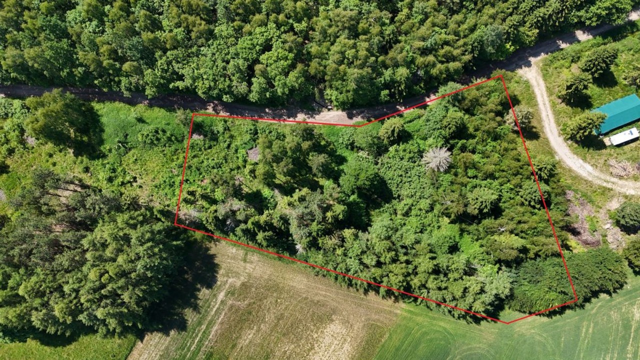 Działka budowlana przy lesie - Widok 4