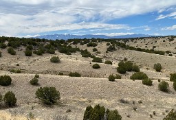 Lokal Pueblo